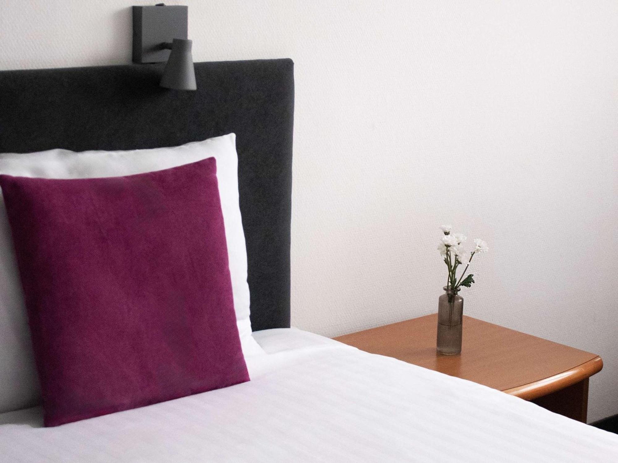 Ibis Styles Bielsko Biala Hotel Exterior photo